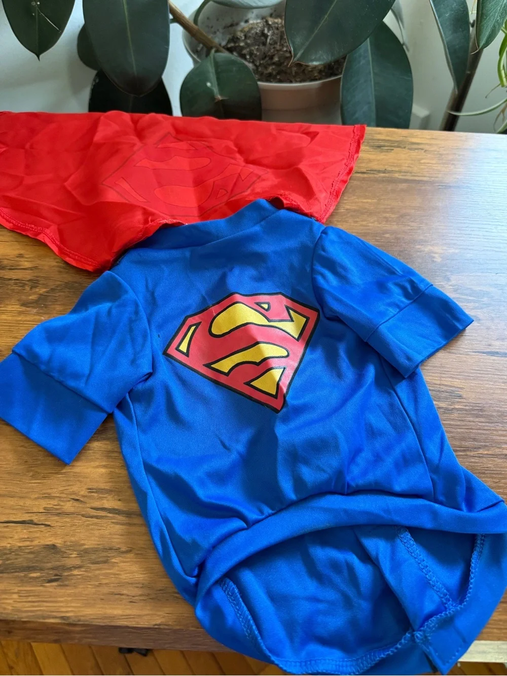 Small dog pet Superman Halloween costume